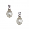 Crystal Pearl Drop Earrings